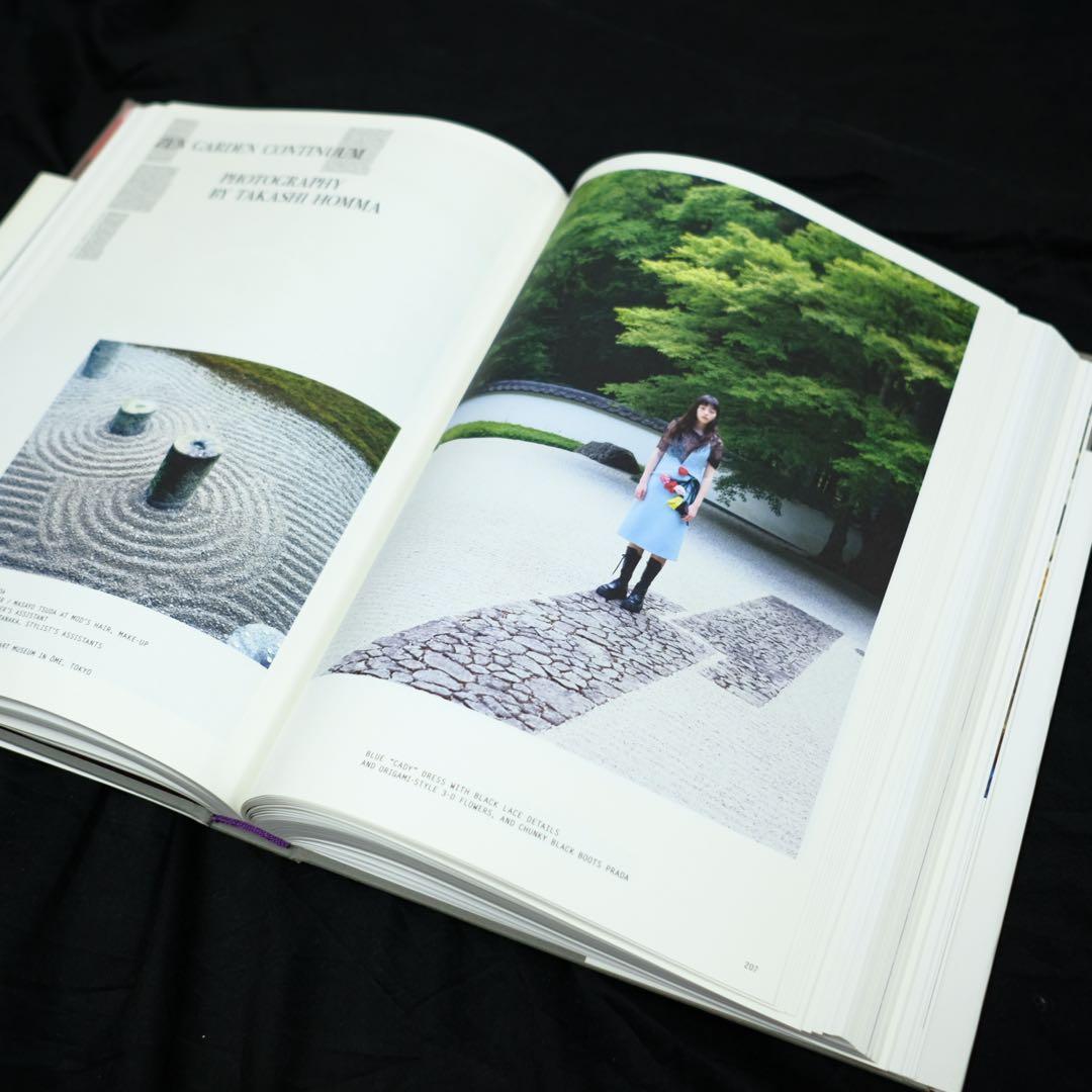 PURPLE COSMOS Hubble Space Telescope 洋書