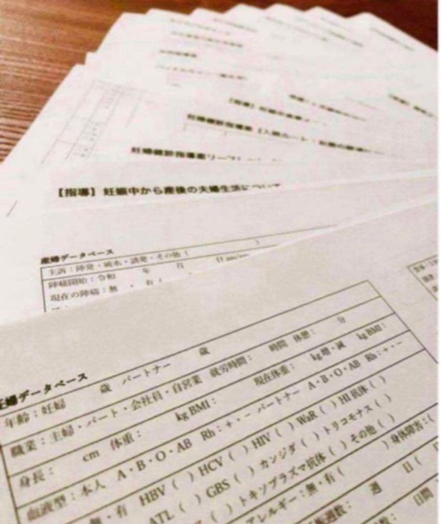 助産師・助産学生　実習乗り切りセット　ポケットサイズ　助産師国家試験