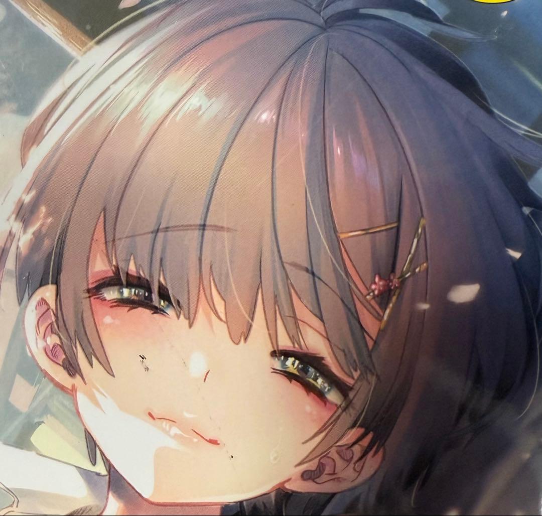 美少女マンガ　ファンブック
