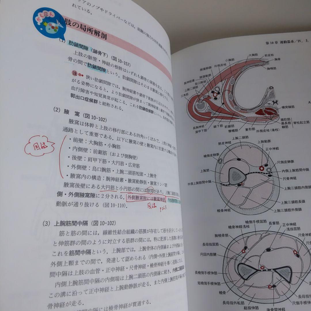 鍼灸　教科書　セット　ギフト付き