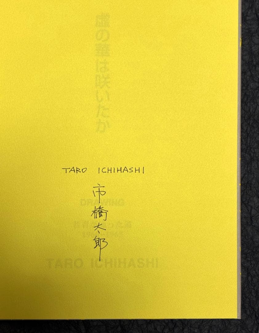 市橋太郎 TARO ICHIHASHI 作品集（私家版、３冊セット）