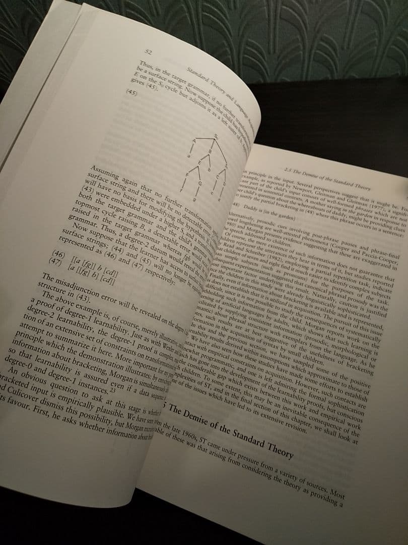 〈洋書〉児童統語論：原理とパラメータ理論入門／☆書き込み無し保証