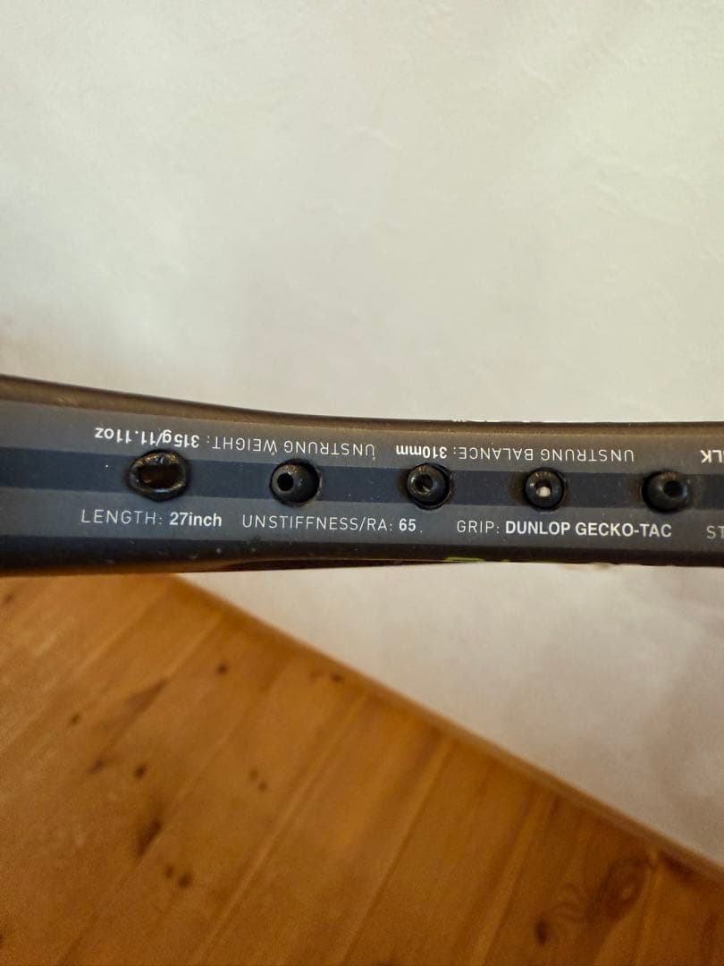 DUNLOP BIOMIMETIC 100【2本セット】