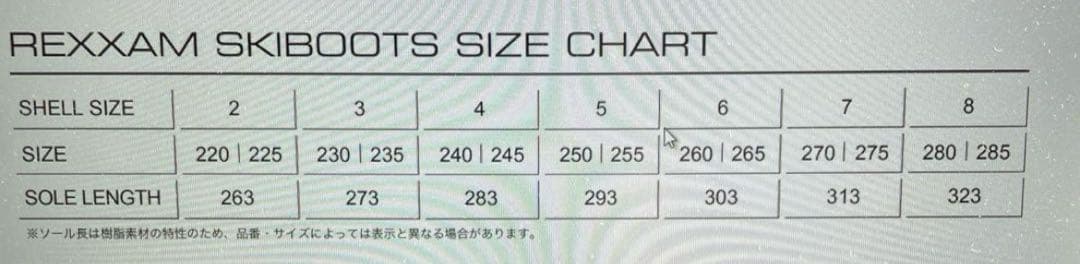 レクザムREXXAMアルペンスキー　 Power REX100M ２３センチです