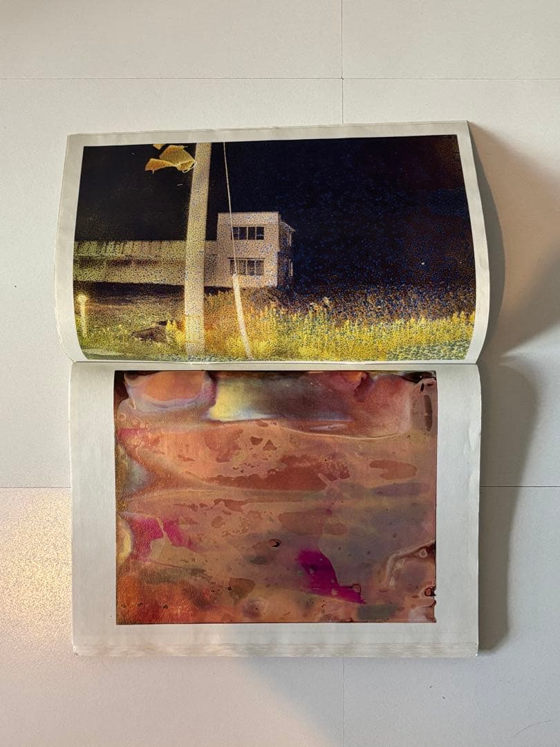 横田大輔　daisuke yokota アートブック　サイン入り