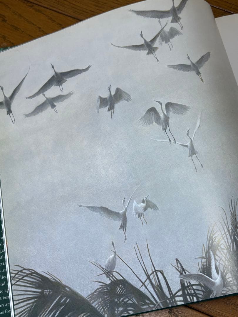 ロバートベイトマン画集【BIRDS】 洋書・野鳥画