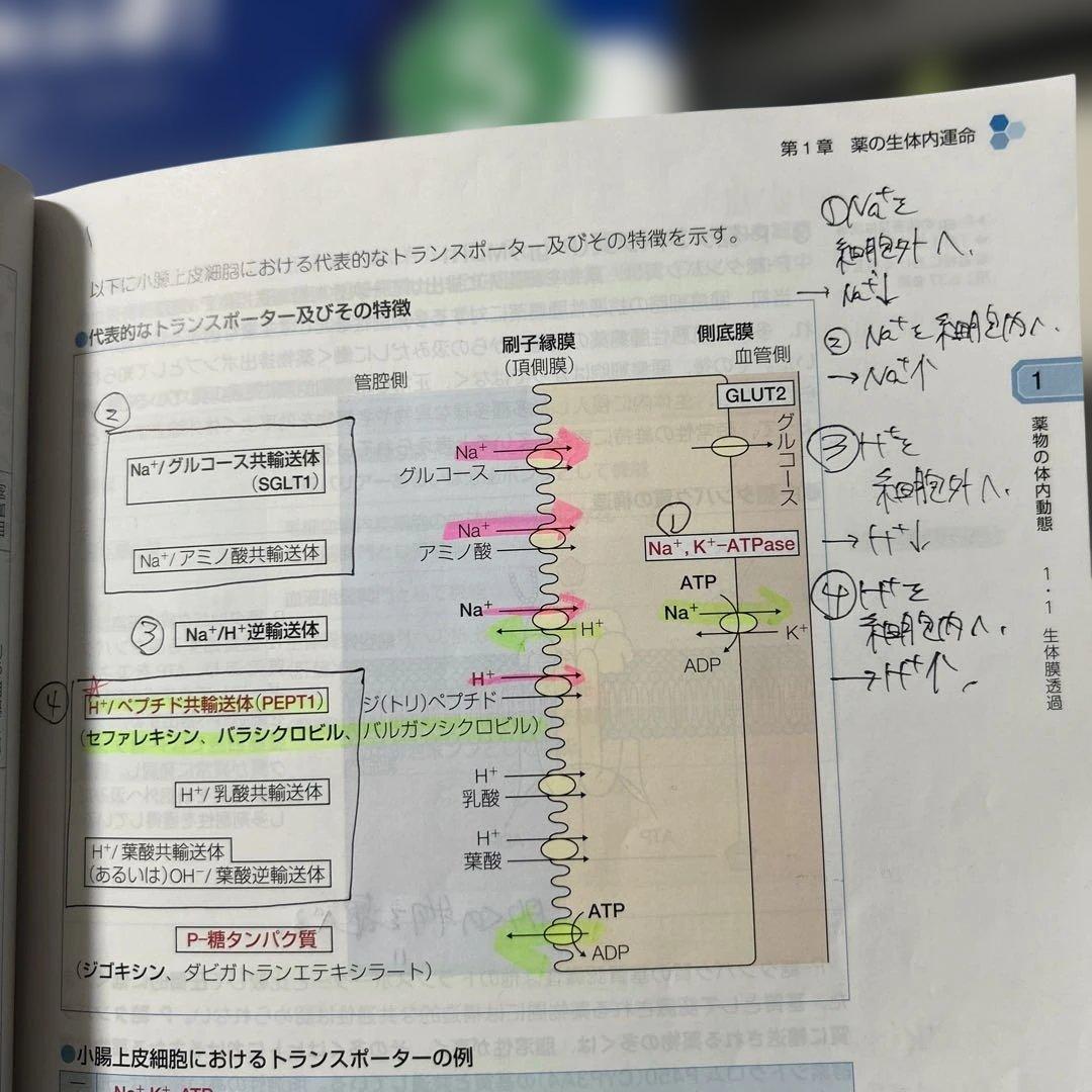第111回　薬剤師国家試験対策参考書　青本　青問　セット　改訂第15版　3以外