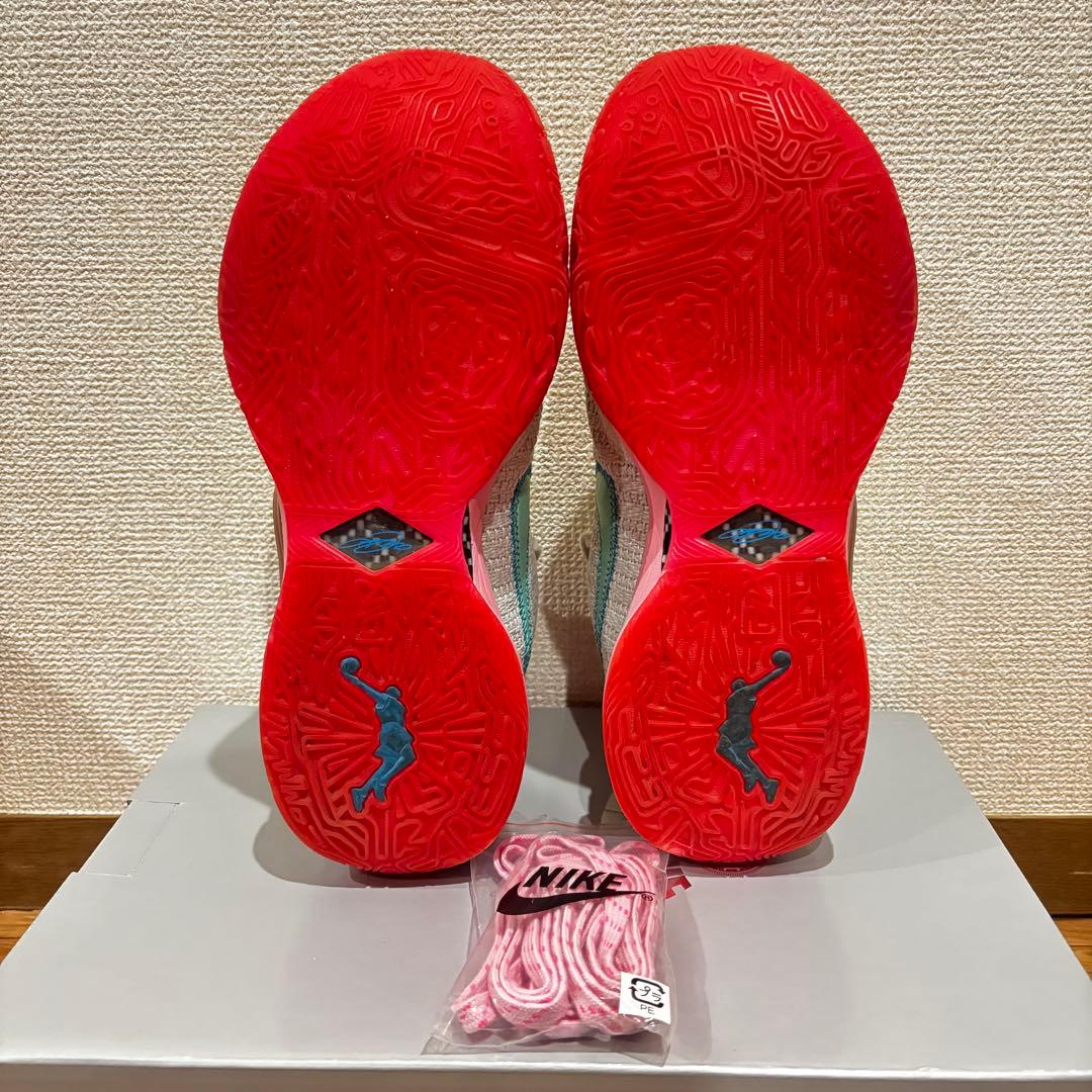 Nike LeBron 20 ナイキ レブロン 20 27cm