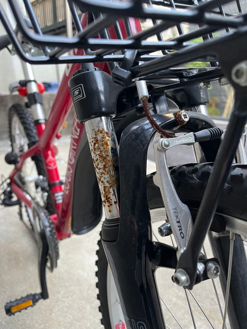 ✴︎引取限定　ルイガノ自転車　ジュニア　J24