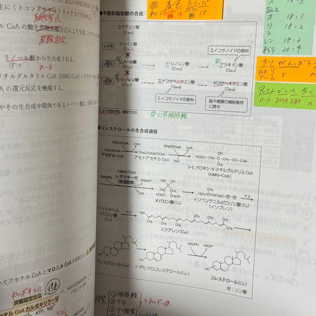 第111回 薬学ゼミナール 薬ゼミ 直前講座 解答書付き