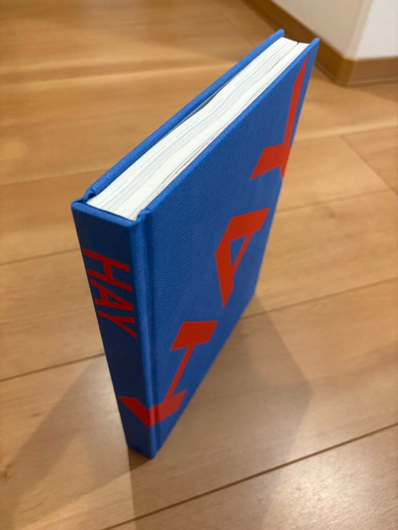 HAY PHAIDON 洋書　20周年記念本