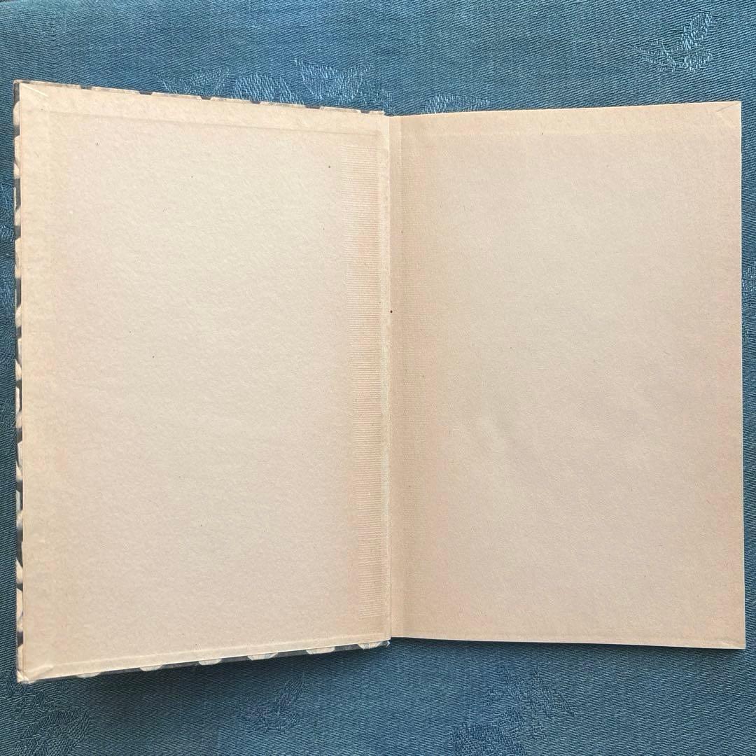 ヴィンテージ ドイツ洋書☘️インゼル文庫 54番 美しい鉱物