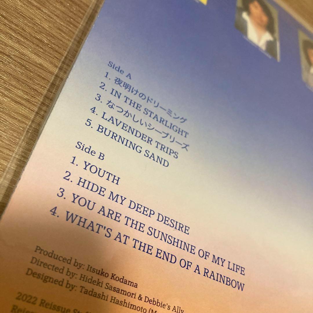Debbie's Ally 夜明けのDREAMING レコード LP アナログ