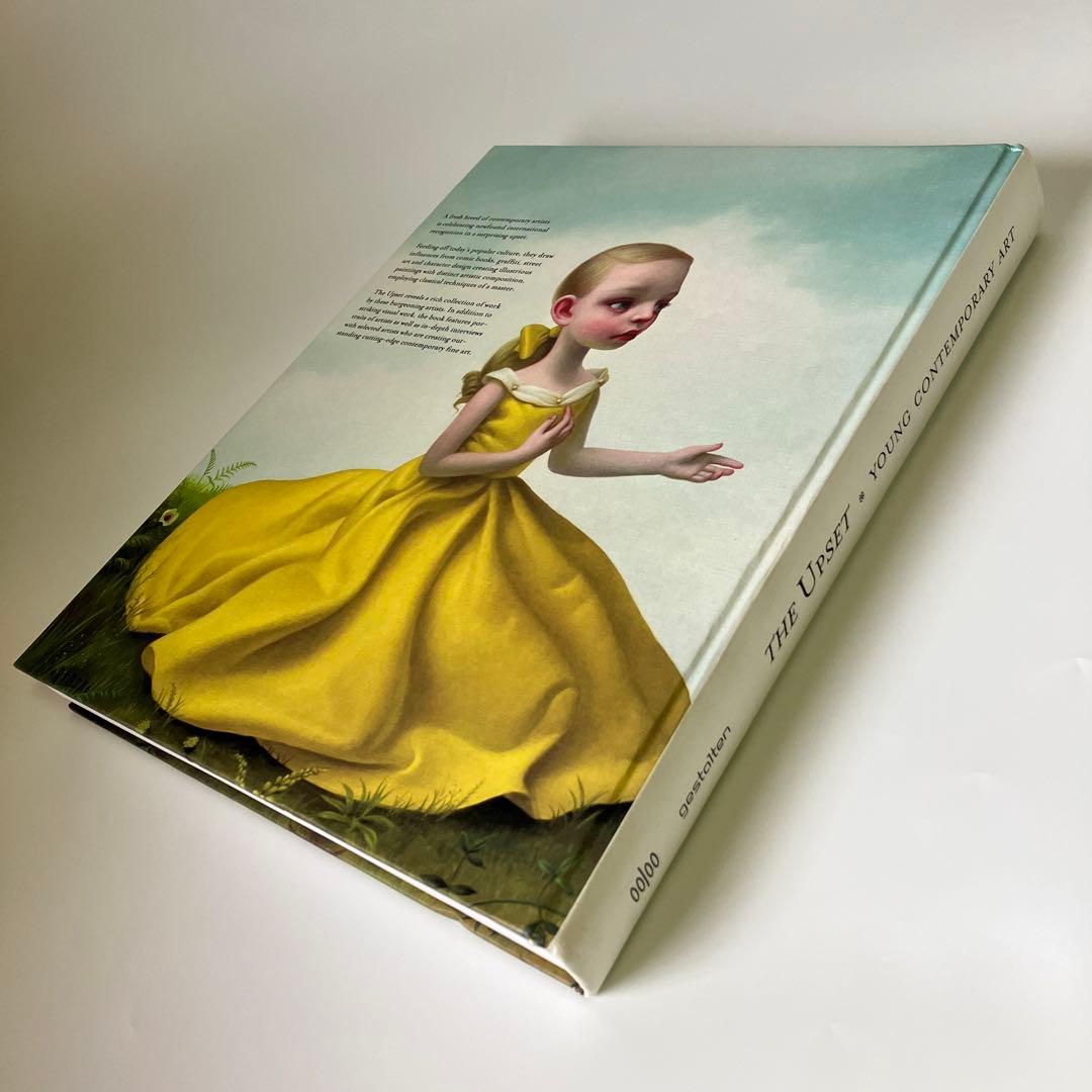 洋書 THE UPSET YOUNG CONTEMPORARY ART