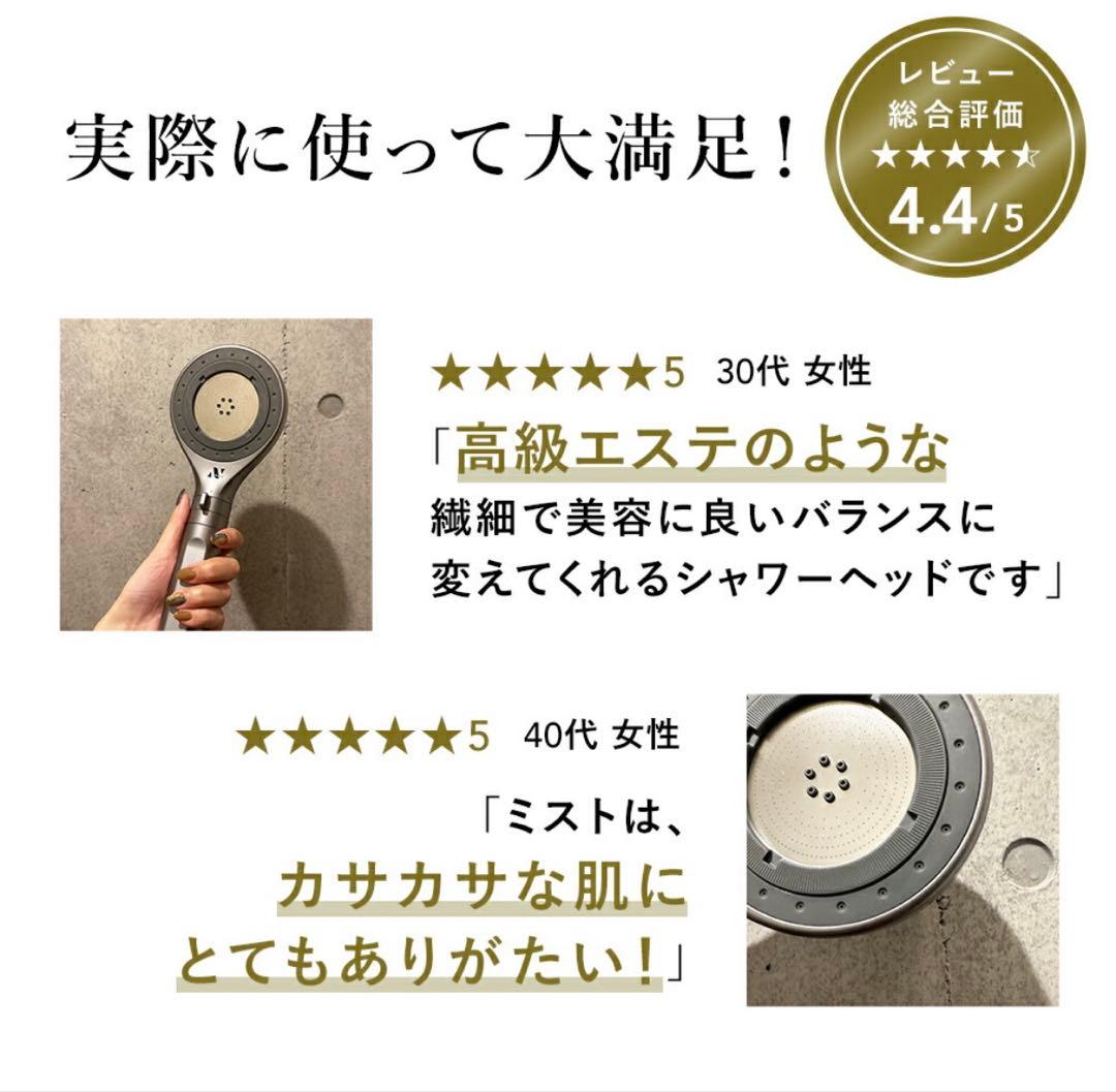 No end ノーエンドビューティ オーガニックファインバブル シャワーヘッド