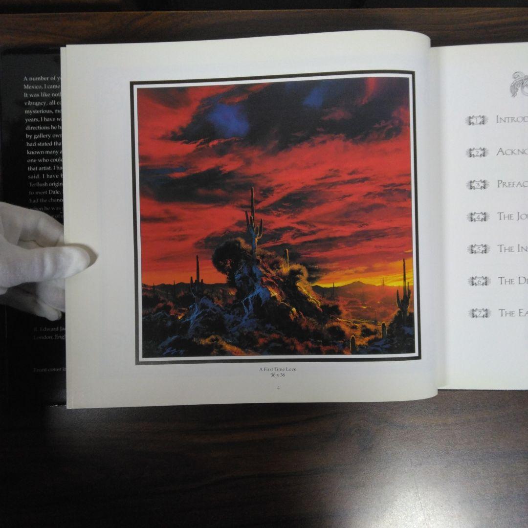 DREAMS AT THE EDGE OF PARADISE　洋書