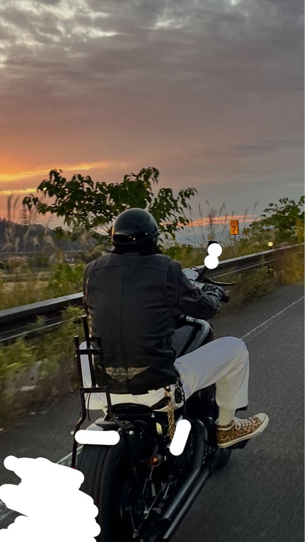 HARLEY DAVIDSONハーレーダビッドソン　2way レザージャケット