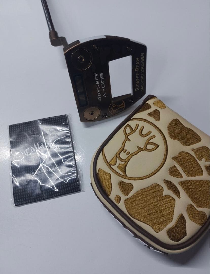 AIONE GIRAFFE-BEAM CRUISER JAILBIRD 本日限り