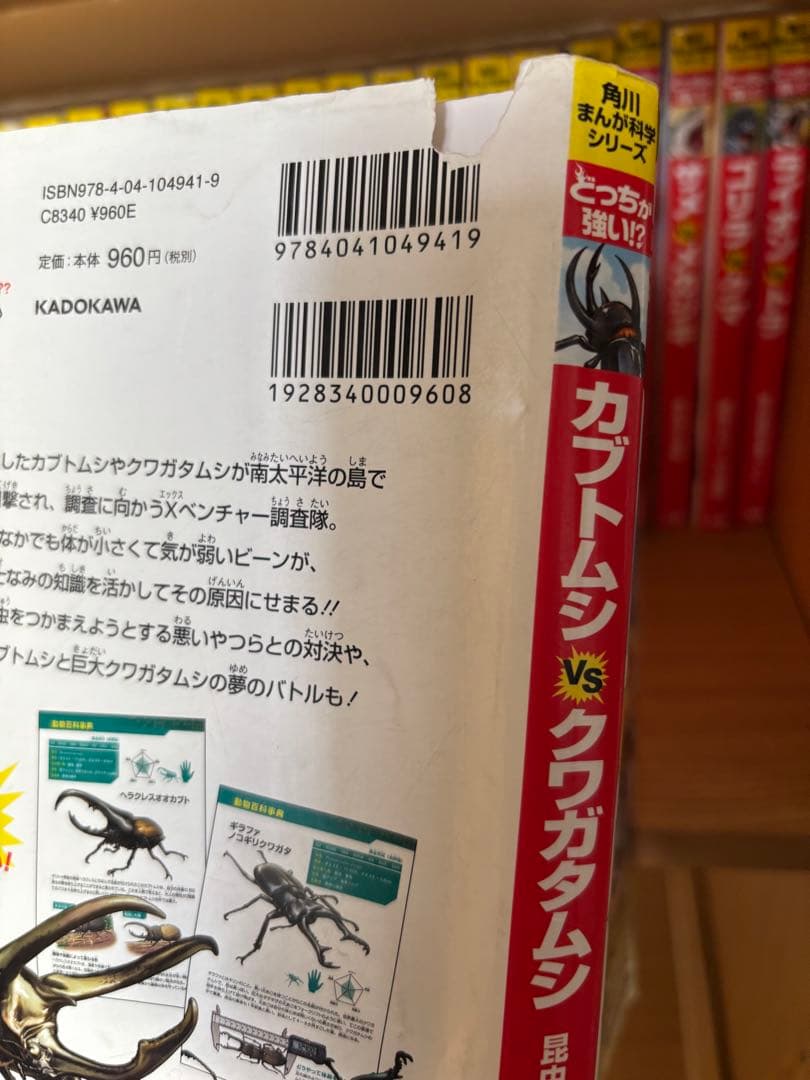 どっちが強い⁉︎ シリーズ26冊＋2冊セット