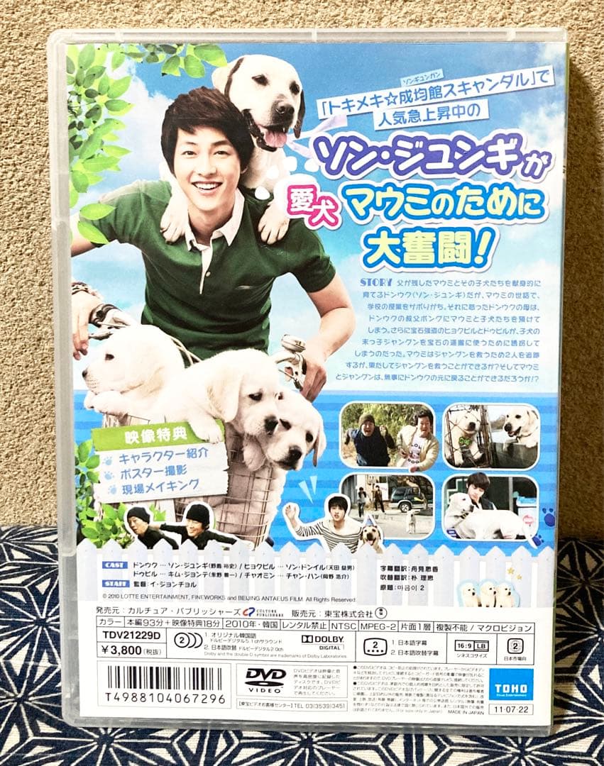 希少 韓流　セル版 DVD ボクとマウミの物語 / ソン・ジュンギ主演作