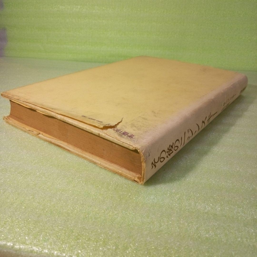 その後のニジンスキー
