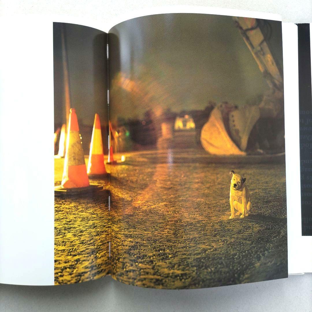 Dazed/Confused 写真集 作品集 洋書