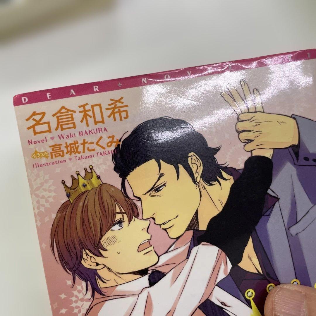 BL小説33冊セット プラチナ文庫 セシル文庫 ディアプラス文庫他