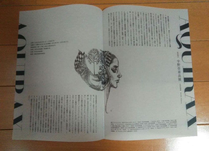 宇野亜喜良展　図録　他