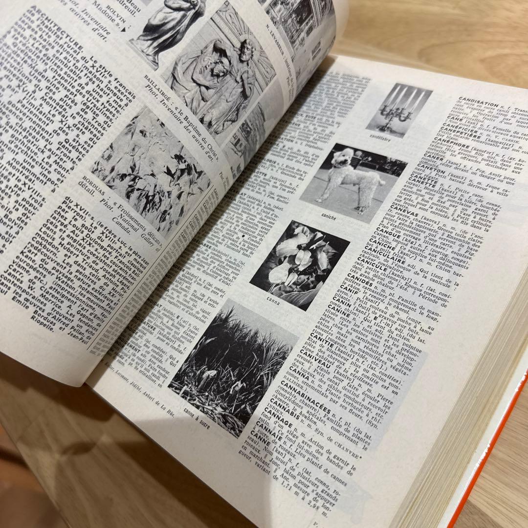 辞典 フランス語 プチ・ラルース Petit Larousse 1973