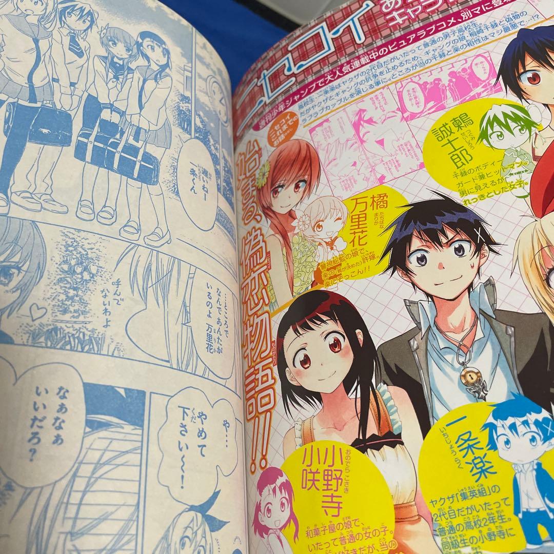 別冊マーガレット2013年10月号 オオカミ少女と黒王子きせかえカバー付き