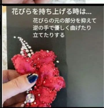 ニコリン様