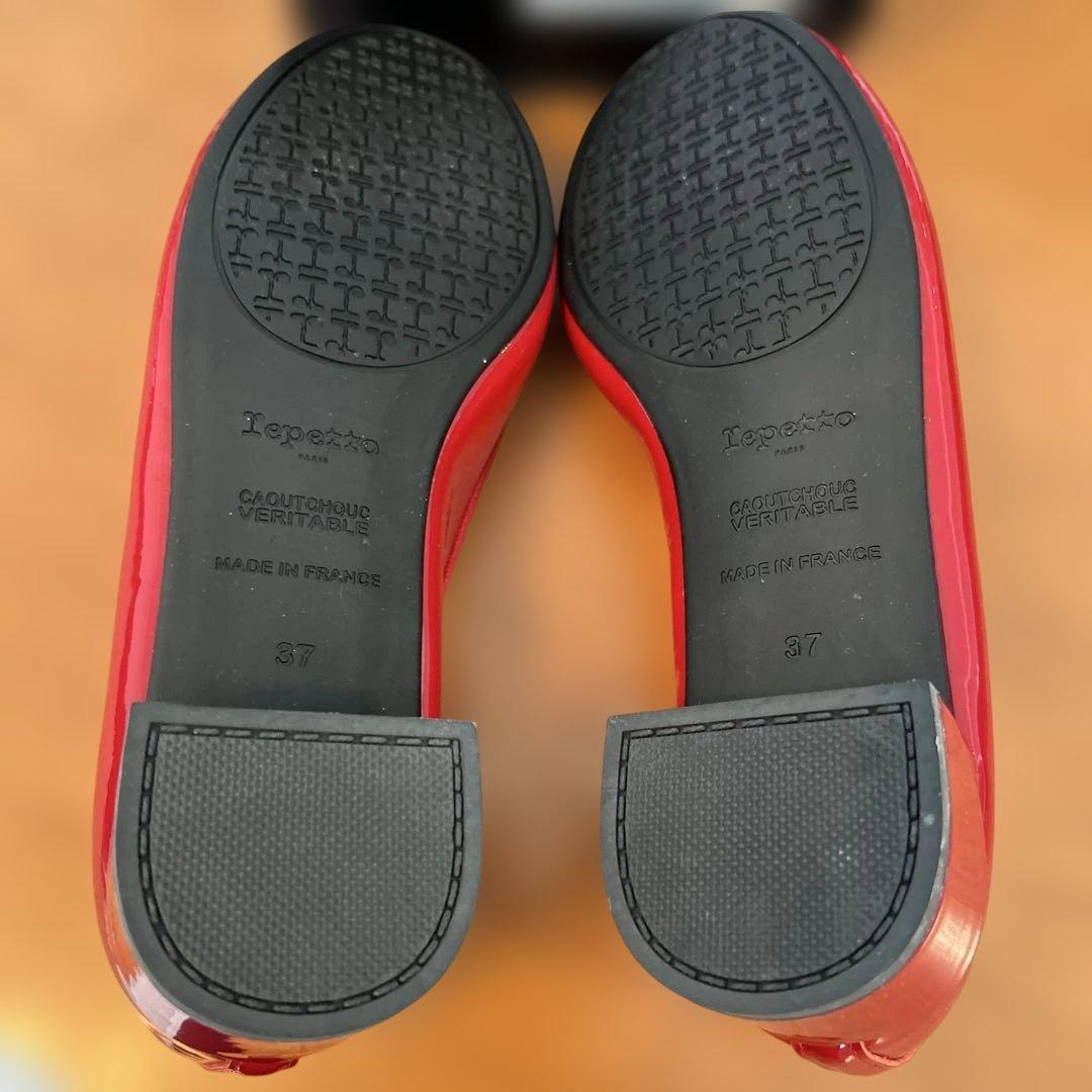 レペット　37.0