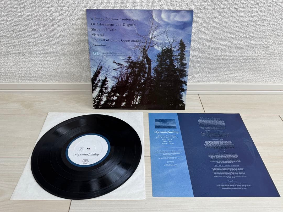 Skycamefalling 廃盤