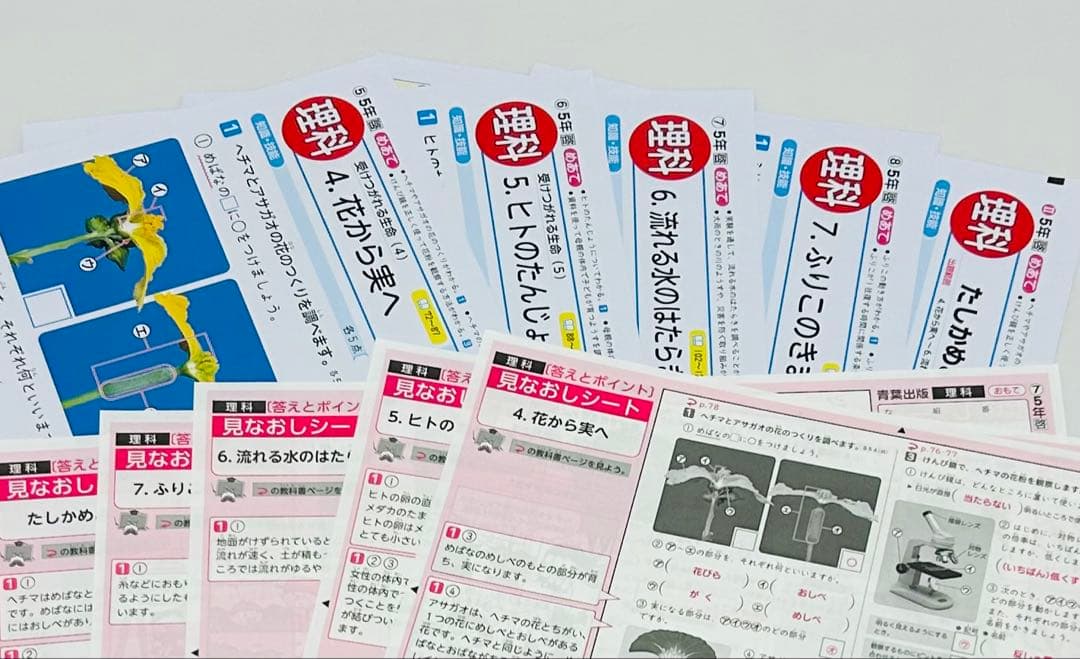 小学5年生　カラー　テストプリント　答えたしかめ、見なおしシート　まとめ売り