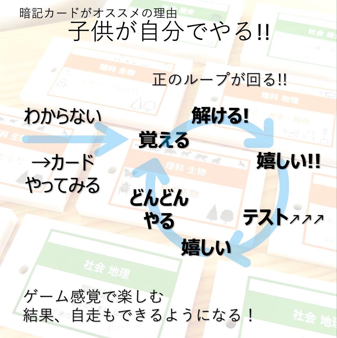 中学受験 暗記カード【4年上ハーフセット 理科11-19回】組分け対策 予シリ