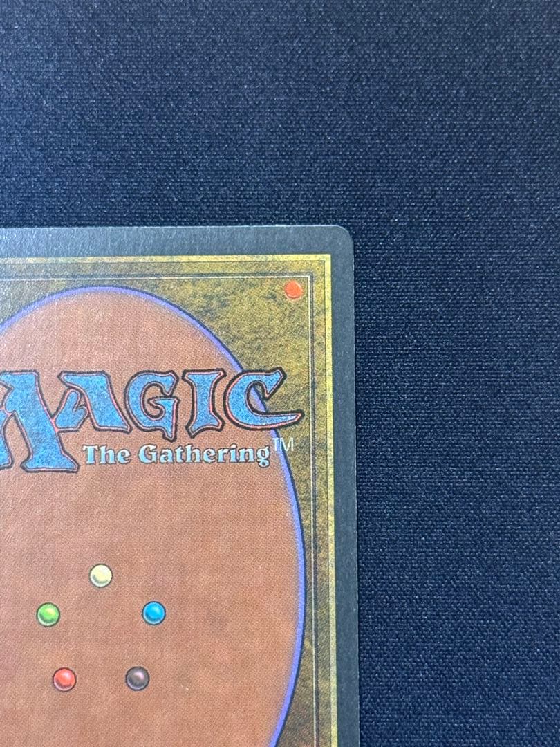 MTG plateau イタリア語　白枠　1枚