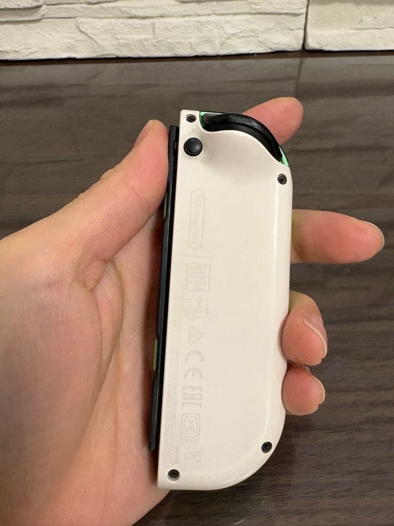 あつまれ　どうぶつの森デザイン　Nintendo Switch 本体