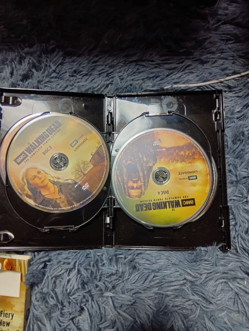 洋画・外国映画 The Walking Dead: The Tenth Season
