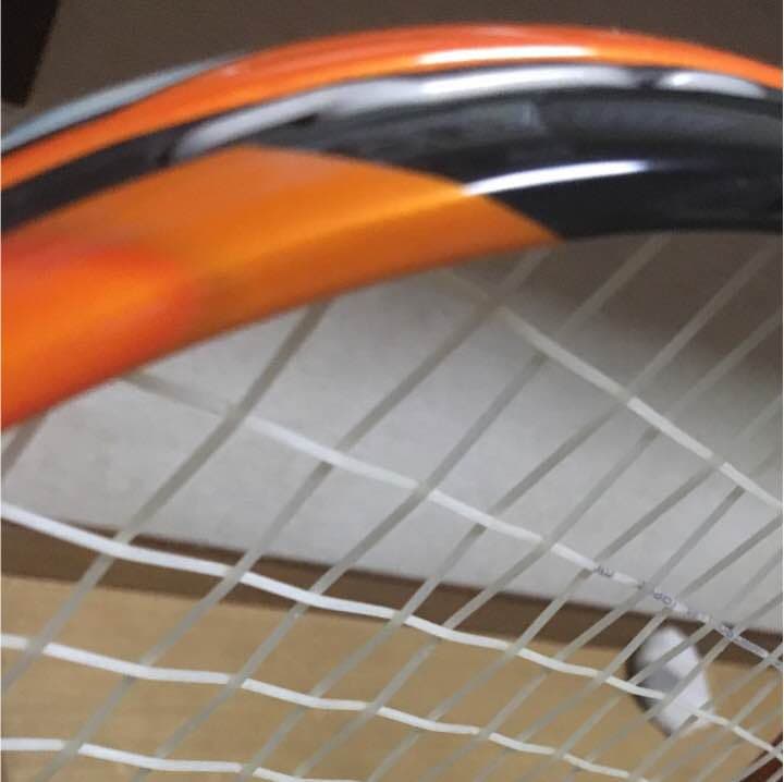 XYST Ｚ9