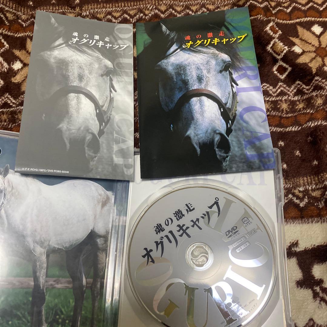 レア　魂の激走　オグリキャップ DVD 競馬　ポニーキャニオン