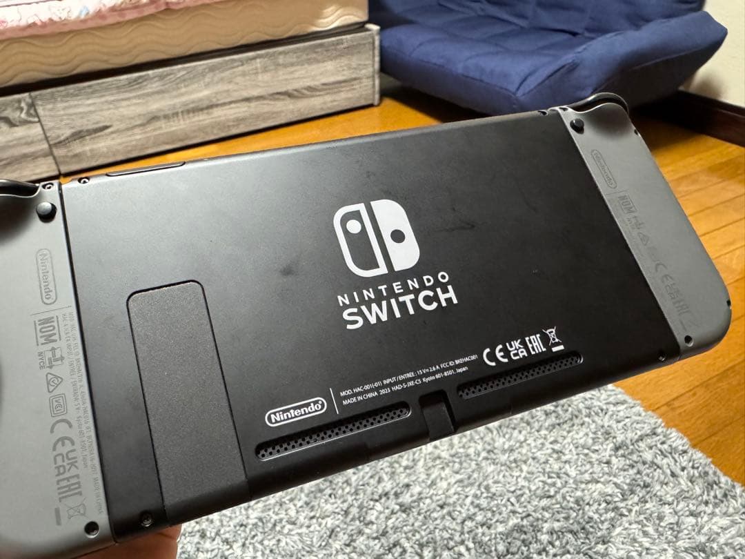 Nintendo Switch 本体+付属品+カセット２つ