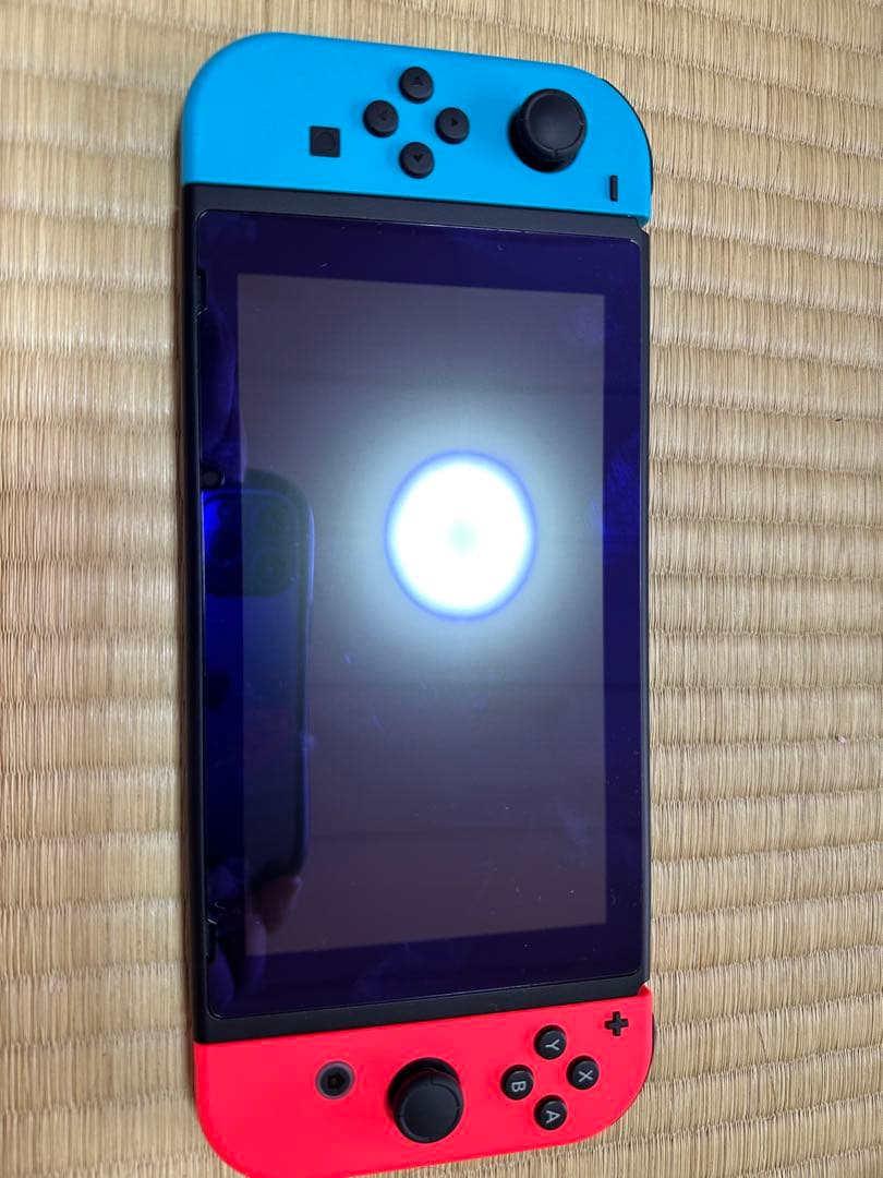 Nintendo Switch 本体　ケースとコントローラー付き