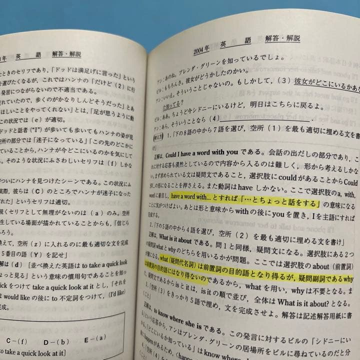 青本　早稲田大学　政治経済学部　2000年～2018年　19年分　駿台予備学校
