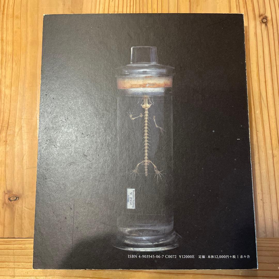 上田義彦「Chamber of Curiosities 」美品