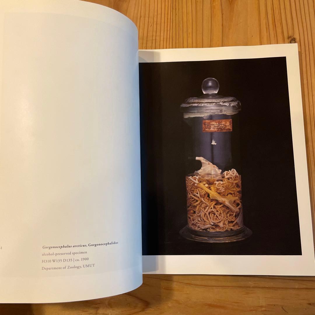 上田義彦「Chamber of Curiosities 」美品