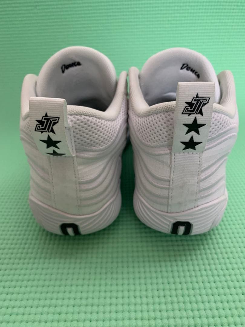 NIKE JORDAN TATUM 3 24.5cm(中古)