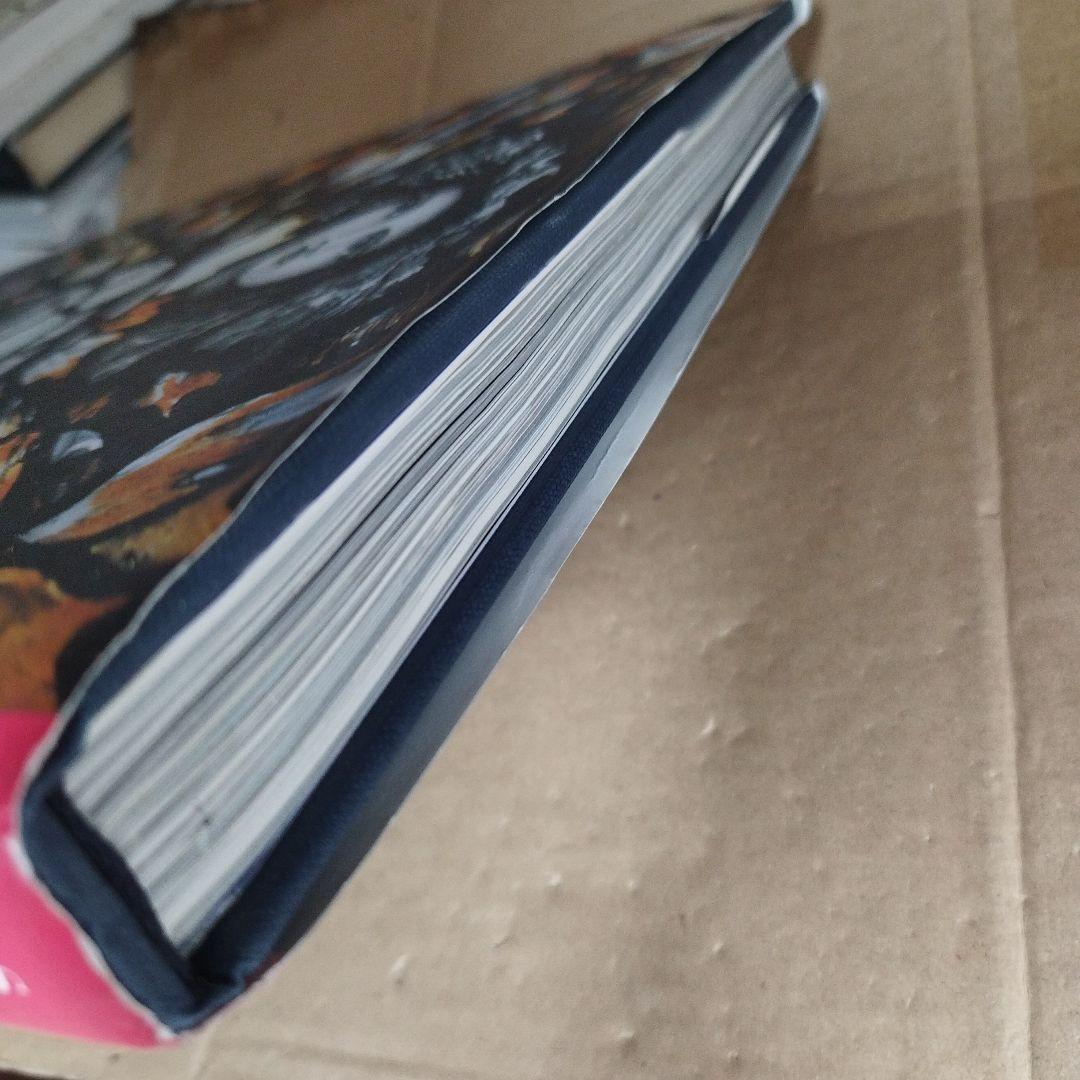 カンタベリーカテドラルのステンドグラス　224P HC