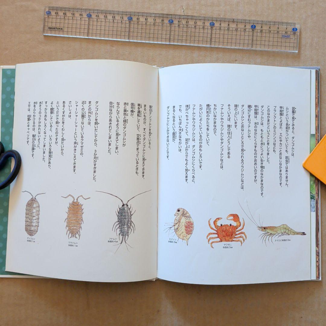 やあ！出会えたね　ダンゴムシ　今森光彦　昆虫むし　図鑑　写真絵本　科学絵本