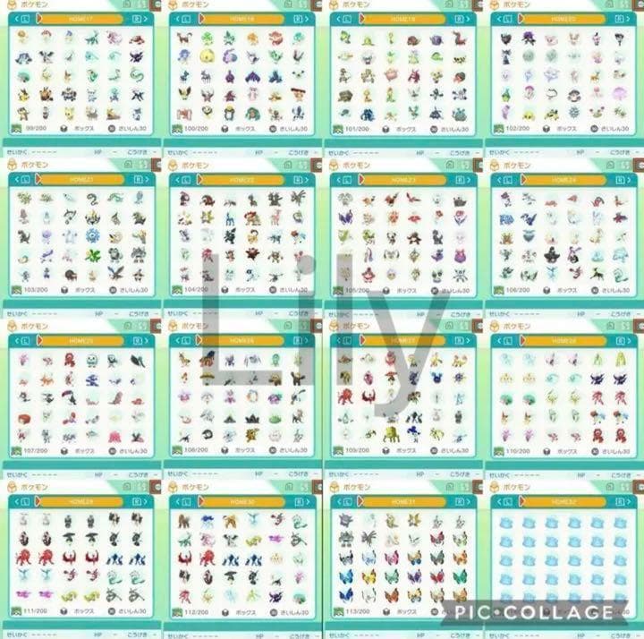 【ポケモン】ウルトラサン 各種配信 道具完備 ポケットモンスター