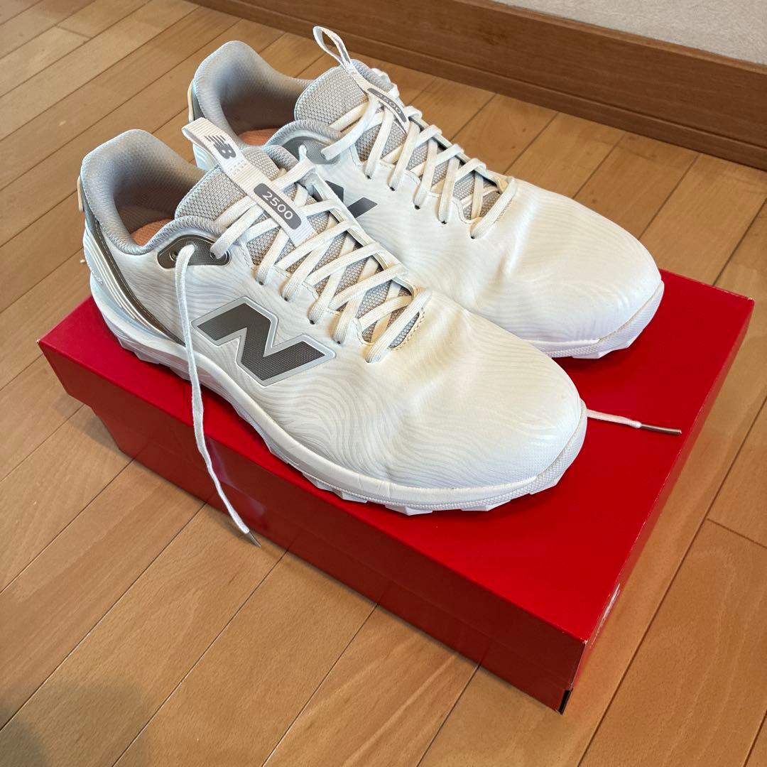 シューズ(男性用) Fresh Foam X 2500 v5 SL